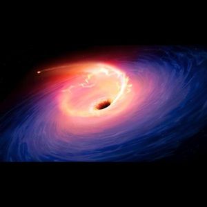 Meet your Posher, Jorge